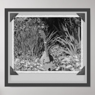 Affiches Mandolin Iris Garden Photographie noir et blanc