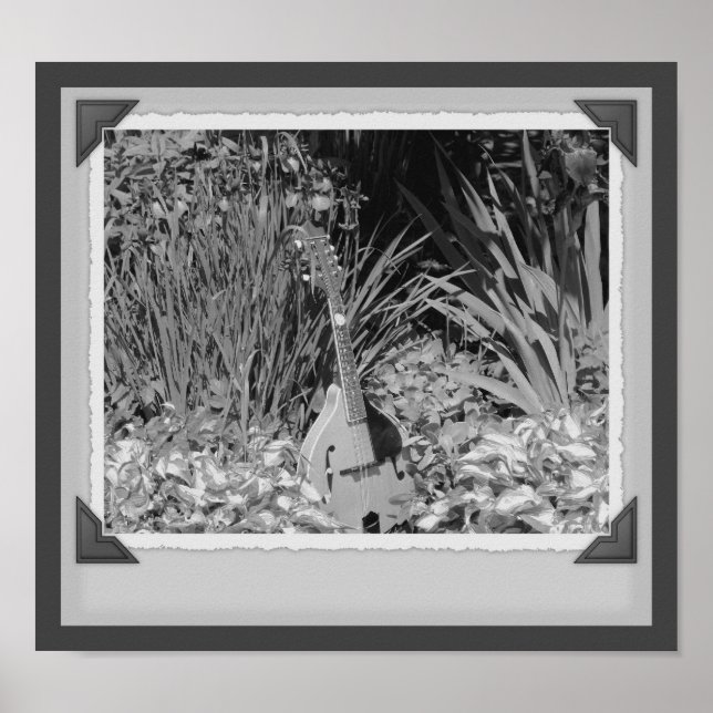 Affiches Mandolin Iris Garden Photographie noir et blanc (Devant)