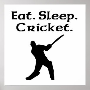 Affiches Mangez le cricket du sommeil