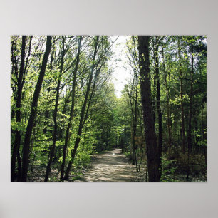Affiches Manière de forêt