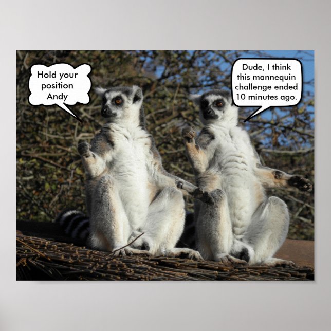 Affiches Mannequin Challenged Lemurs (Devant)