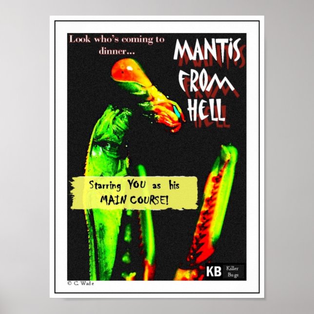 Affiches Mantis de l'enfer (Devant)