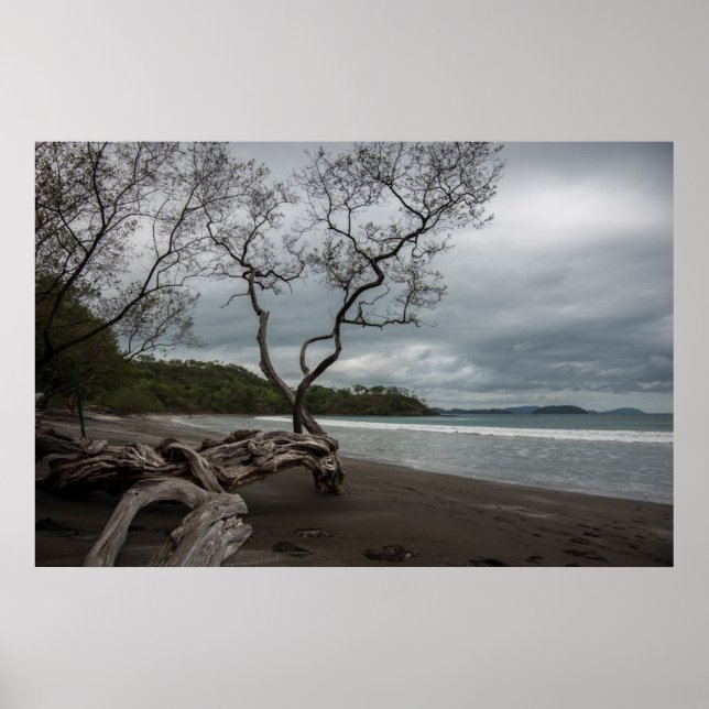 Affiches Manzanillo (Devant)
