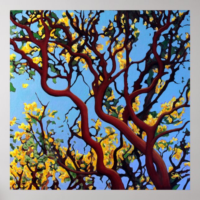 Affiches Manzanita en automne (Devant)