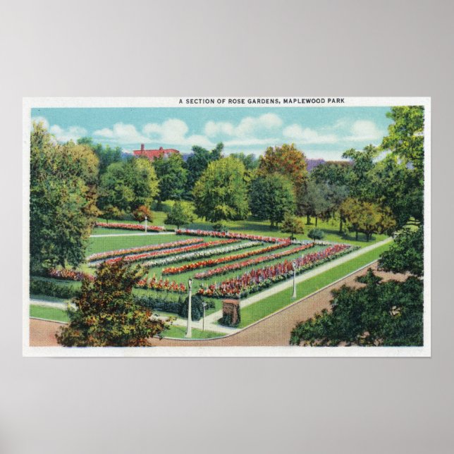 Affiches Maplewood Park Rose Garden View (Devant)