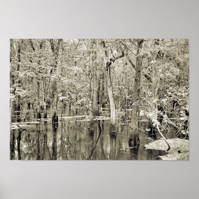 Affiches Marais de la Nouvelle-Orléans (Devant)