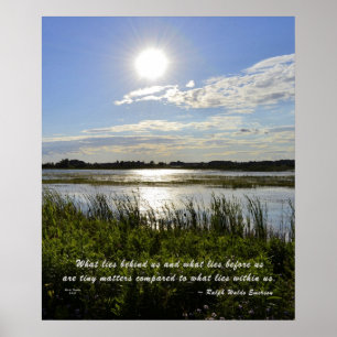 Affiches Marais de verger de chêne