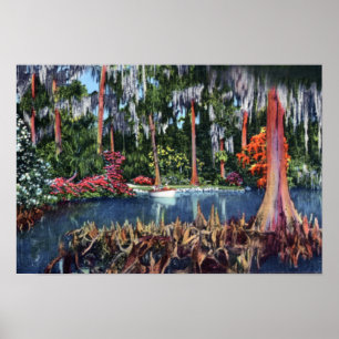 Affiches Marais et bateau du Pays de Galles la Floride