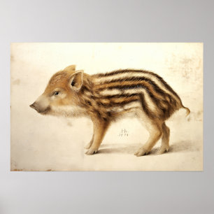 Affiches MARCASSIN / Dessins d'animaux