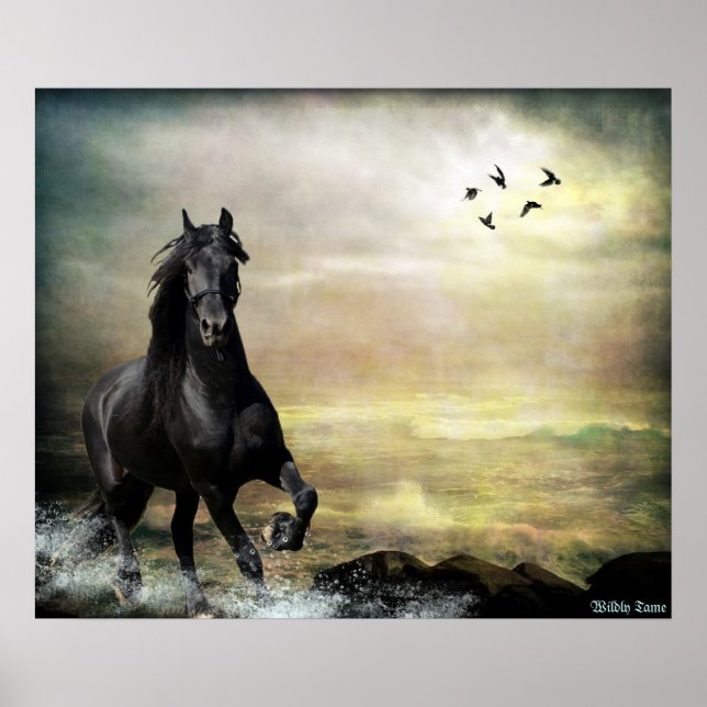 Affiches Marche à suivre (Devant)