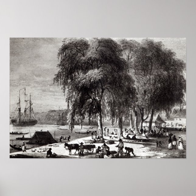 Affiches Marché aux poissons, Paramribo (Devant)