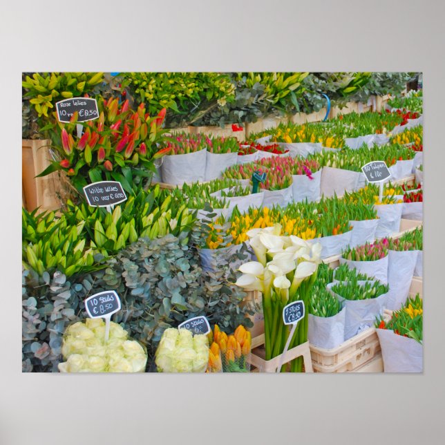 Affiches Marché aux Tulipes et aux Fleurs à Amsterdam (Devant)