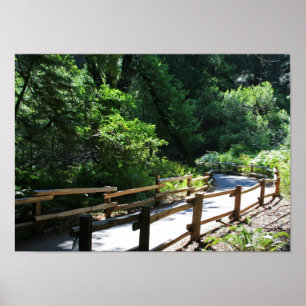 Affiches "Marche de Muir Woods"