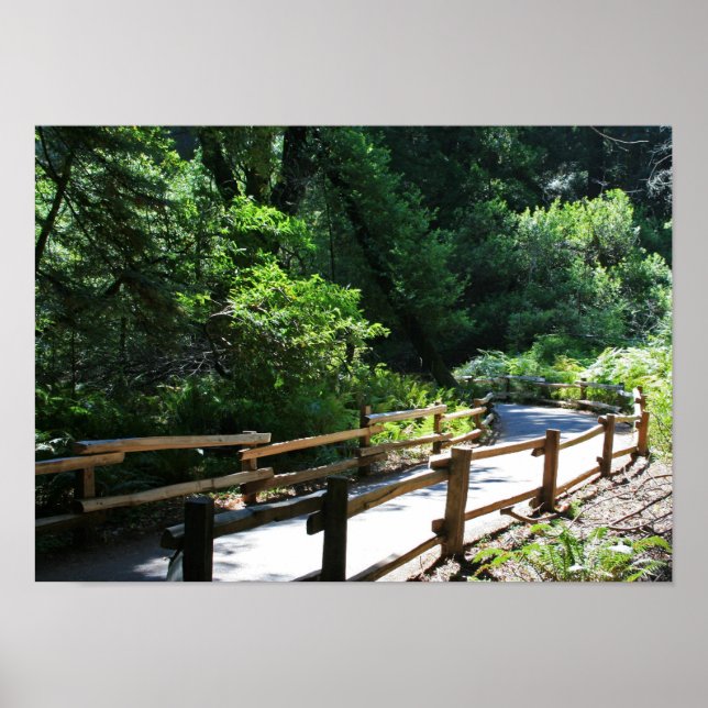 Affiches "Marche de Muir Woods" (Devant)