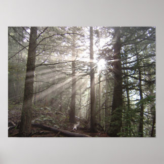 Affiches Marcher à travers les nuages