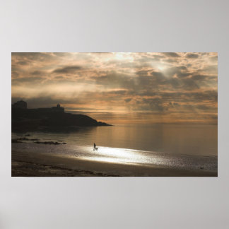 Affiches Marcher le chien sur Douglas Beach