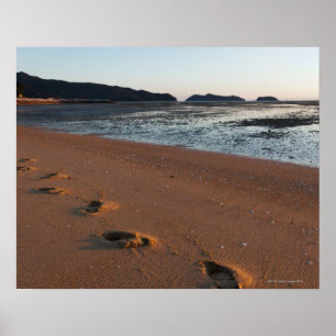 Affiches Marches dans les sables au lever du soleil