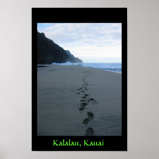 Affiches Marches interdites à Kalalau