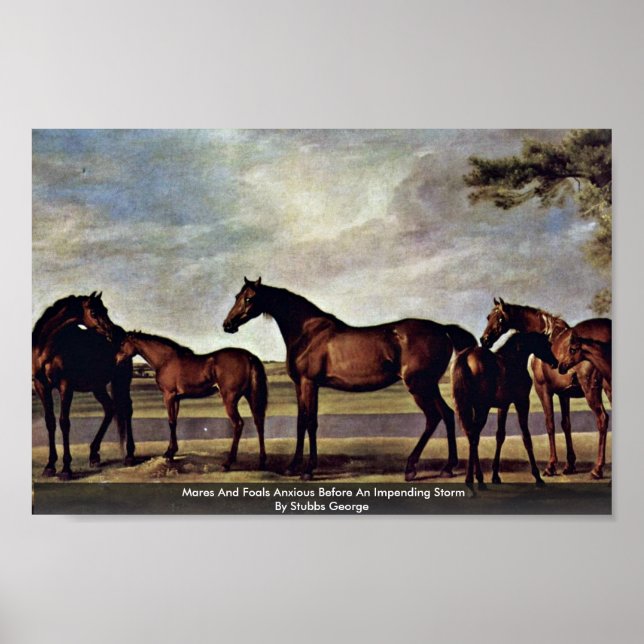 Affiches Mares Et Foals Anxieux Avant Une Tempête Imminente (Devant)