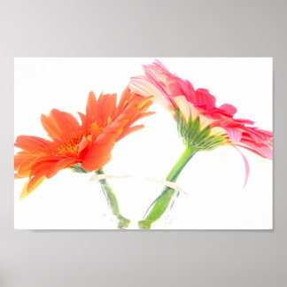 Affiches Marguerites