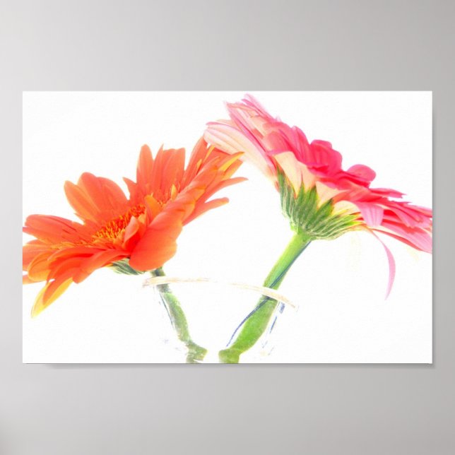 Affiches Marguerites (Devant)