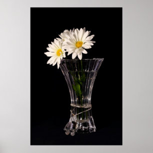 Affiches Marguerites Blanches Dans Le Vase