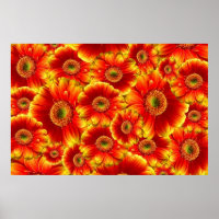 Marguerites de Gerbera jaune et orange
