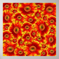 Marguerites de Gerbera jaune et orange
