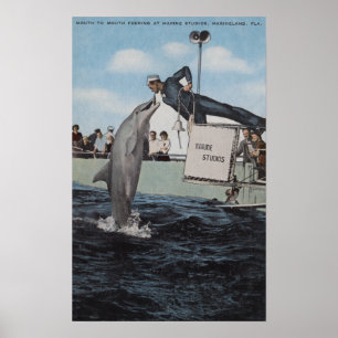 Affiches Marineland, Floride - Allaitement à la voile