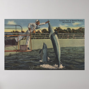 Affiches Marineland, la Floride - vue des marsouins de