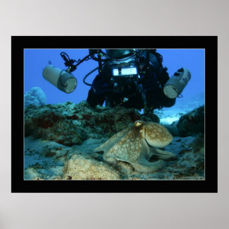 Affiches Mark et l'Octopus