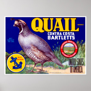 Affiches Marque Quail Contra Costa Bartletts