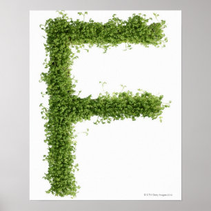 Affiches Marquez avec des lettres "F" en cresson sur