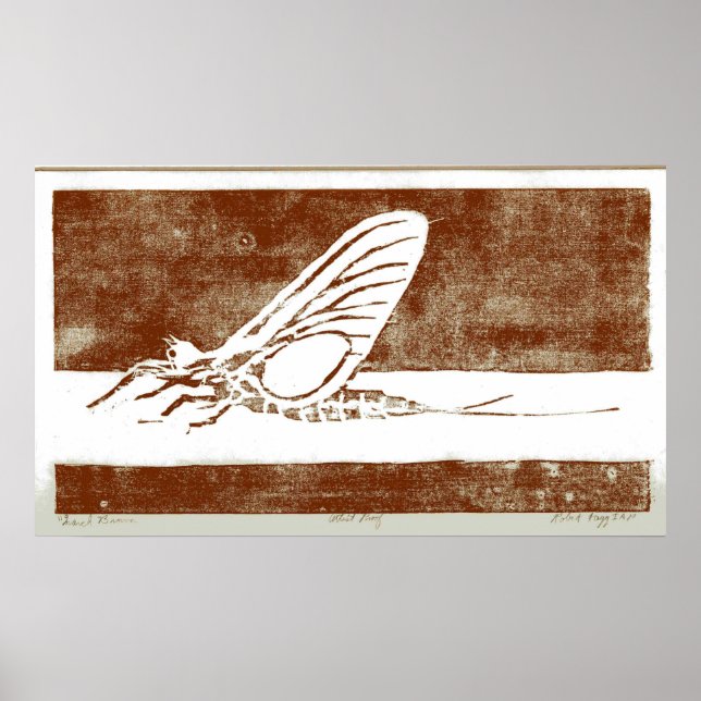 Affiches Mars Brown mai vol (Devant)