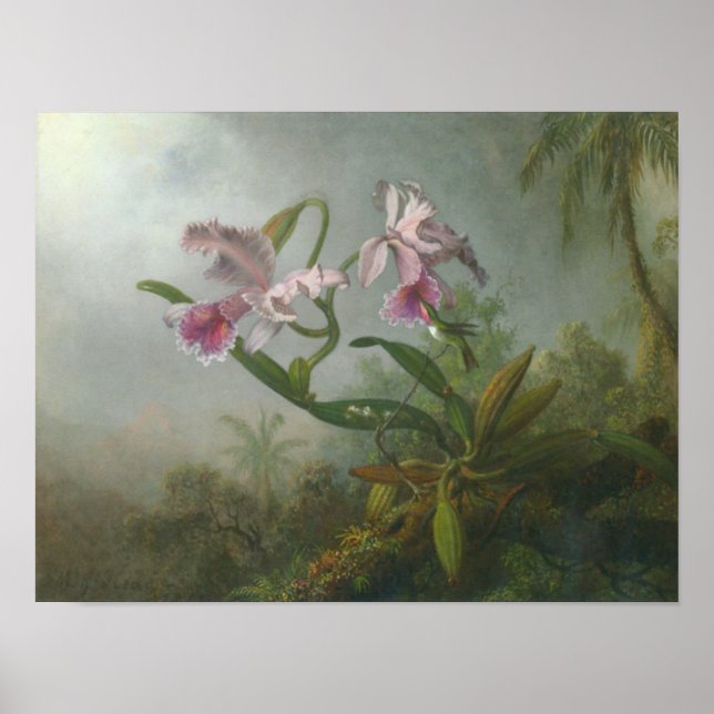 Affiches Martin Johnson Heade_Orchidée-colibri (Devant)