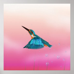 Affiches martin-pêcheur oiseau