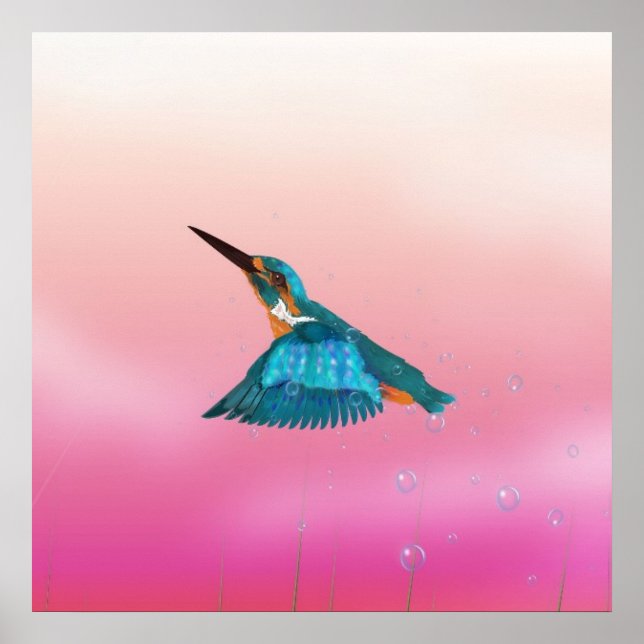 Affiches martin-pêcheur oiseau (Devant)