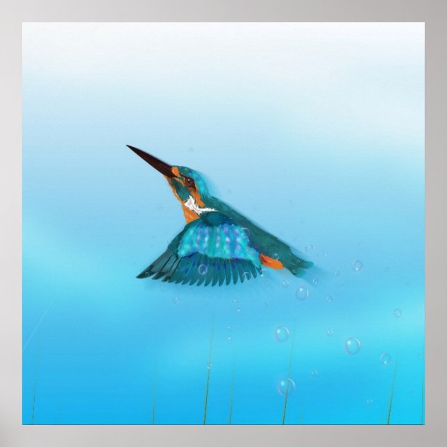 Affiches martin-pêcheur oiseau (Devant)