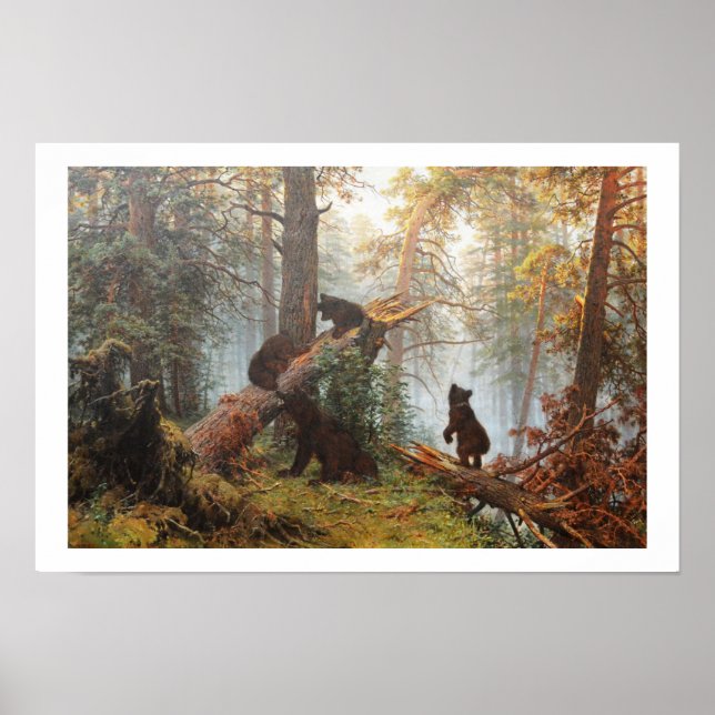Affiches Matin dans une forêt de pins (Devant)