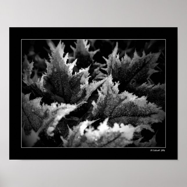 Affiches Matin de cristal (Devant)