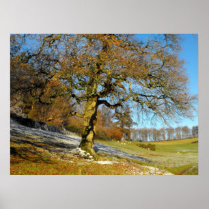 Affiches Matin d'hiver