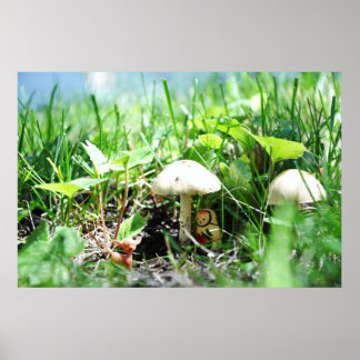 Affiches Matroshka dans une patte de champignon