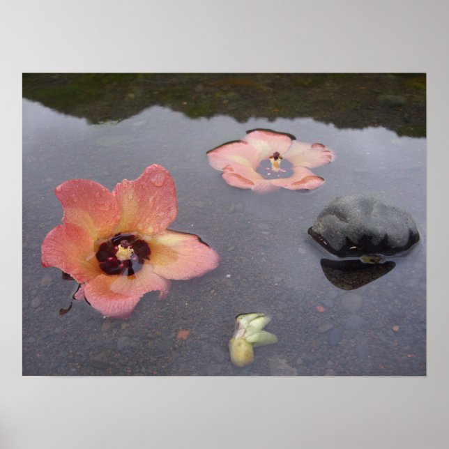 Affiches Maui Zen (Devant)