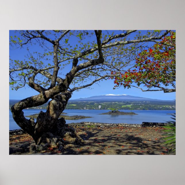 AFFICHES MAUNA KEA OVER HILO BAY (Devant)