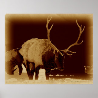 Affiches mauvais 2 l'os