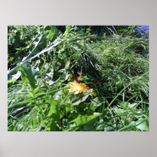 Affiches Mauvaises herbes de jardin obstruant la copie
