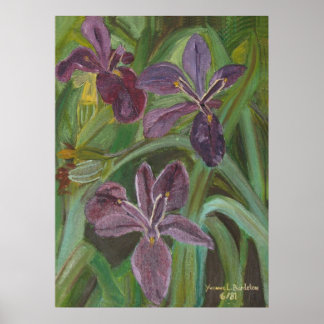 Affiches Mauve LA Iris