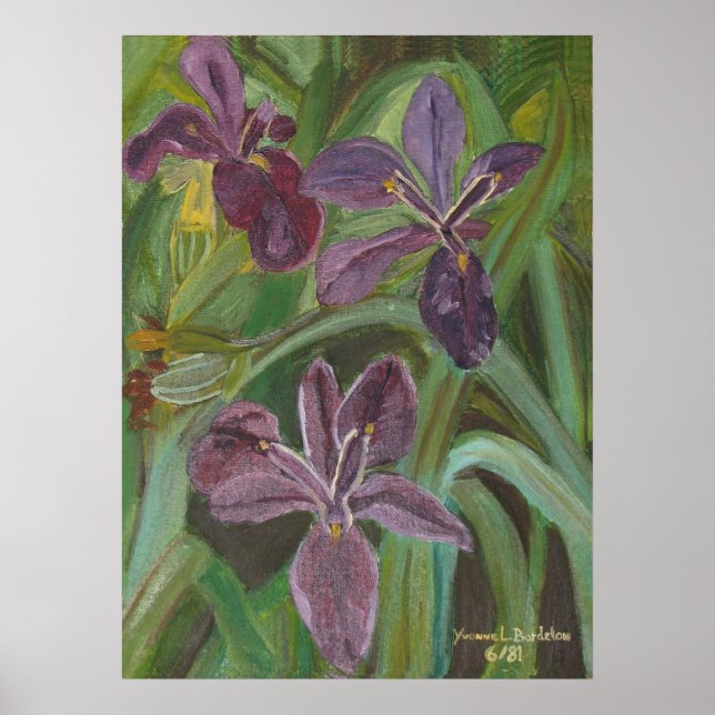 Affiches Mauve LA Iris (Devant)