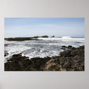 Affiches Mavericks