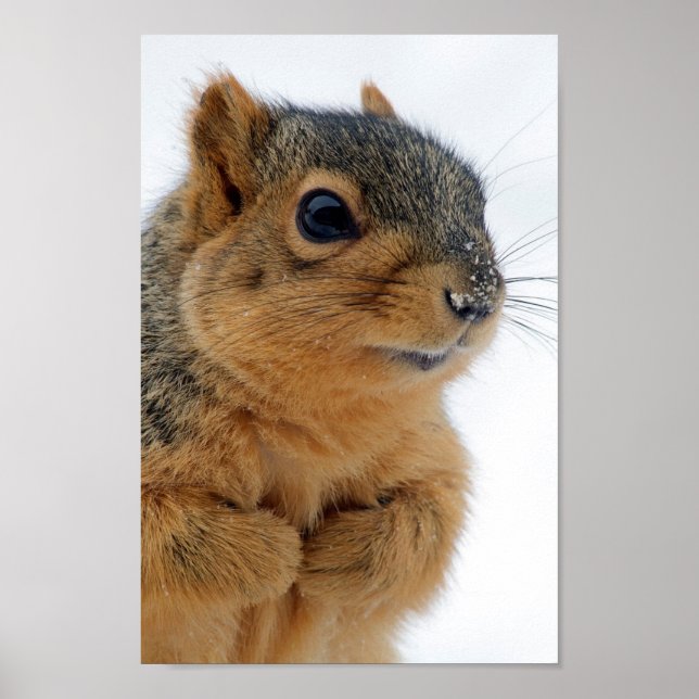 Affiches Me Parles-tu ? (Devant)